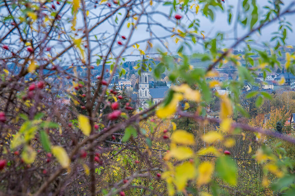 Aussicht nach Neuhausen mit Kirche